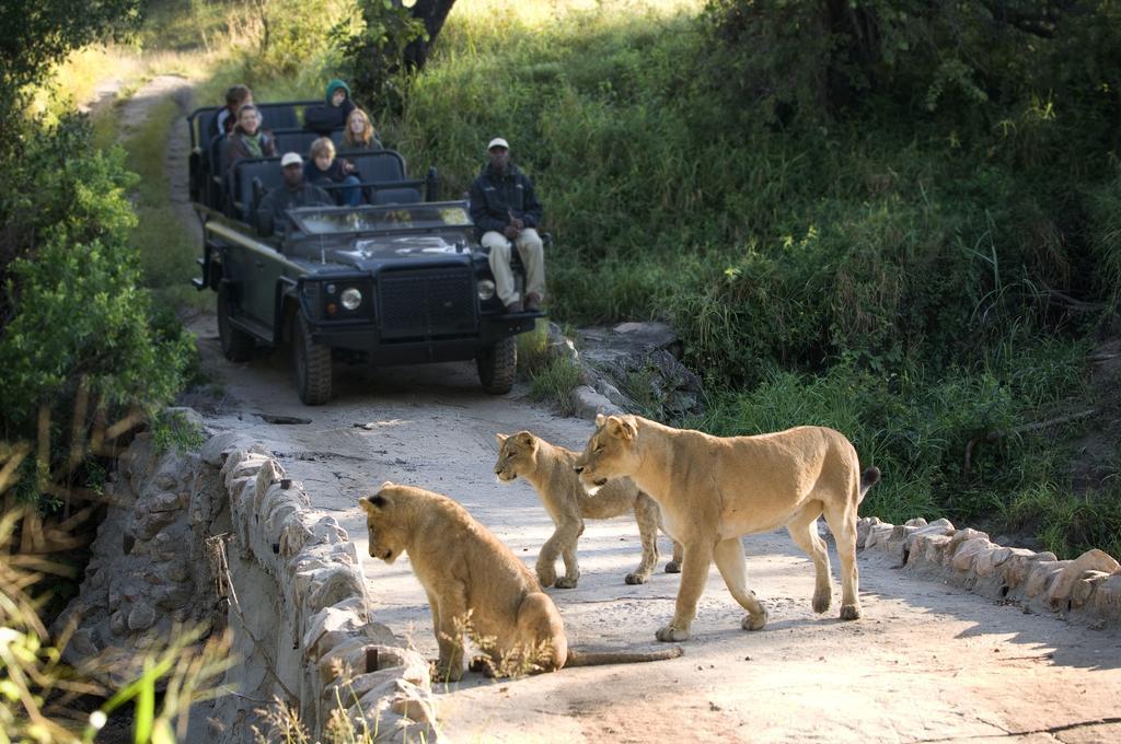 Lion Sands - Tinga Lodge Skukuza Exterior photo